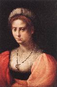 Portrait of a Lady agf PULIGO, Domenico